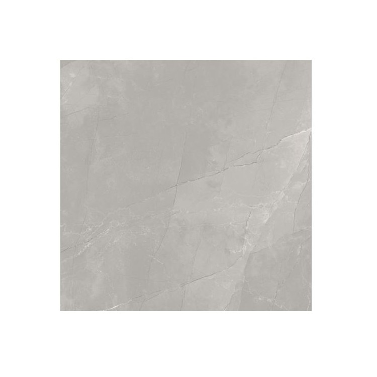 Egen Płytka ścienno-podłogowa Edmonton Dark Grey 60x60 cm Połysk (1.44)