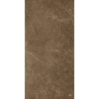 Paradyż IBIS BROWN GRES SZKL. MAT. 30X60 G1