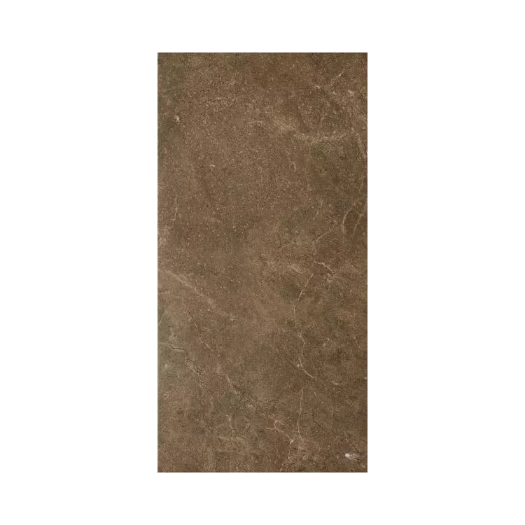 Paradyż IBIS BROWN GRES SZKL. MAT. 30X60 G1