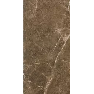 Paradyż IBIS BROWN GRES SZKL. MAT. 30X60 G1