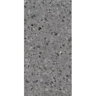 Paradyż TERAZZO GRAPHITE GRES SZKL. REKT. MAT. 59,8X119,8 G1