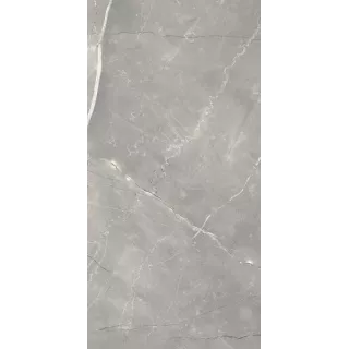 Paradyż RITTRIM GREY MAT 29,8X59,8 G1