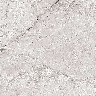 Egen Płytka ścienno-podłogowa Darwin bianco 60x60 cm (1.44)