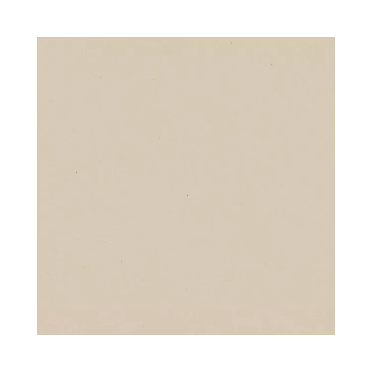Paradyż MODERNIZM BIANCO GRES MAT. 19,8X19,8 G1