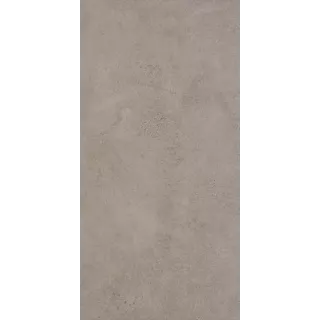 Paradyż CONCEPT GRYS GRES SZKL. MAT. 30X60 G1