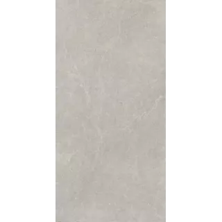 Paradyż U118 LIGHT GREY GRES SZKL. REKT. MAT. 59,8X119,8 G1