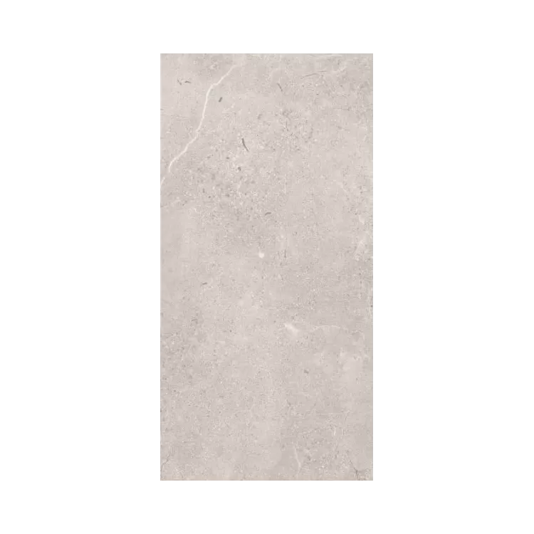 Paradyż SUNNYDUST LIGHT GRYS GRES SZKL. REKT. MAT. 59,8X119,8 G1 Paradyż SUNNYDUST LIGHT GRYS GRES SZKL. REKT. MAT. 59,8X119,8 G1