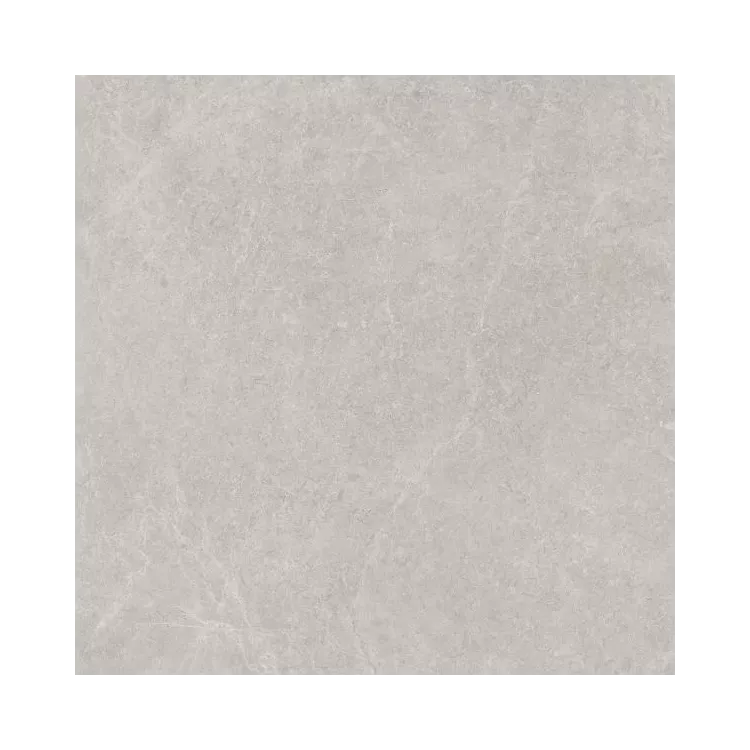Paradyż U118 LIGHT GREY GRES SZKL. REKT. POLPOLER 59,8X59,8 G1 Paradyż U118 LIGHT GREY GRES SZKL. REKT. POLPOLER 59,8X59,8 G1