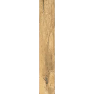 Paradyż RUSTLAND NATURALE GRES SZKL. REKT. MAT. 9,8X59,8 G1