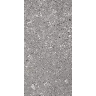 Paradyż ARAGORN GRYS SCIANA 30X60 G1