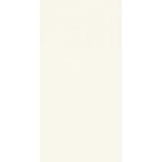 Paradyż ELLINE WHITE SCIANA MAT 30X60 G1