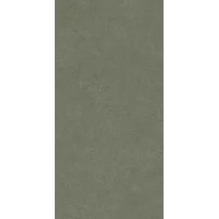Paradyż INTERO OLIVE GRES REKT. MAT. 29,8X59,8 G1