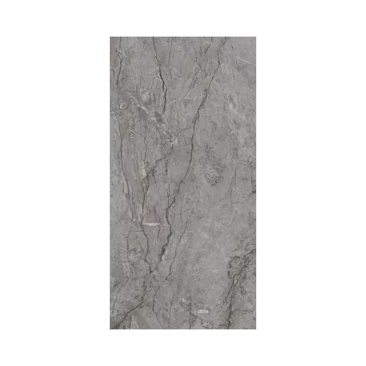 Paradyż VISIONER GREY GRES SZKL. REKT. POLER 59,8X119,8 G1 Paradyż VISIONER GREY GRES SZKL. REKT. POLER 59,8X119,8 G1
