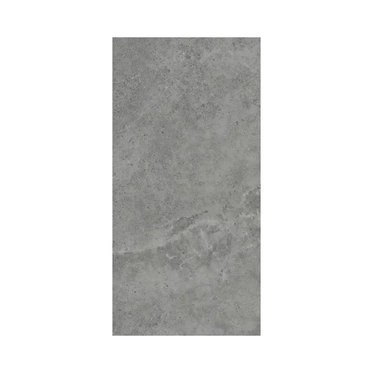 Paradyż My Way PLYTA TARASOWA AUTHORITY GREY GRES SZKL. REKT. STRUKTURA 2.0 MAT. 59,5X119,5 G1 Paradyż My Way PLYTA TARASOWA AUTHORITY GREY GRES SZKL. REKT. STRUKTURA 2.0 MAT. 59,5X119,5 G1