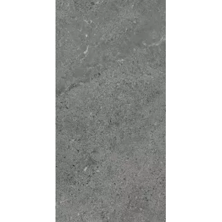 Paradyż AUTRIM GRAPHITE MAT 29,8X59,8 G1