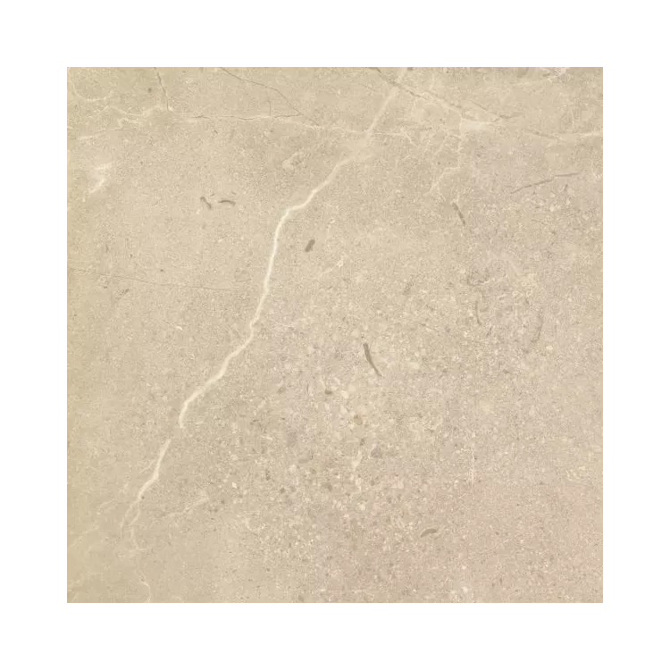 Paradyż SUNNYDUST BEIGE GRES SZKL. REKT. MAT. 59,8X59,8 G1