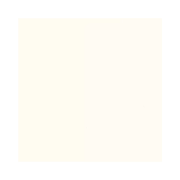 Paradyż GAMMA COLOURS BIALA SCIANA POLYSK 9,8X9,8 G1