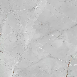 Ego Płytka ścienno-podłogowa Amarilo Grey 60x60 cm Połysk...