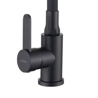 Invena Bateria z 2-funkcyjną, elastyczną wylewką Dalis, czarny BZ-64-004-L
