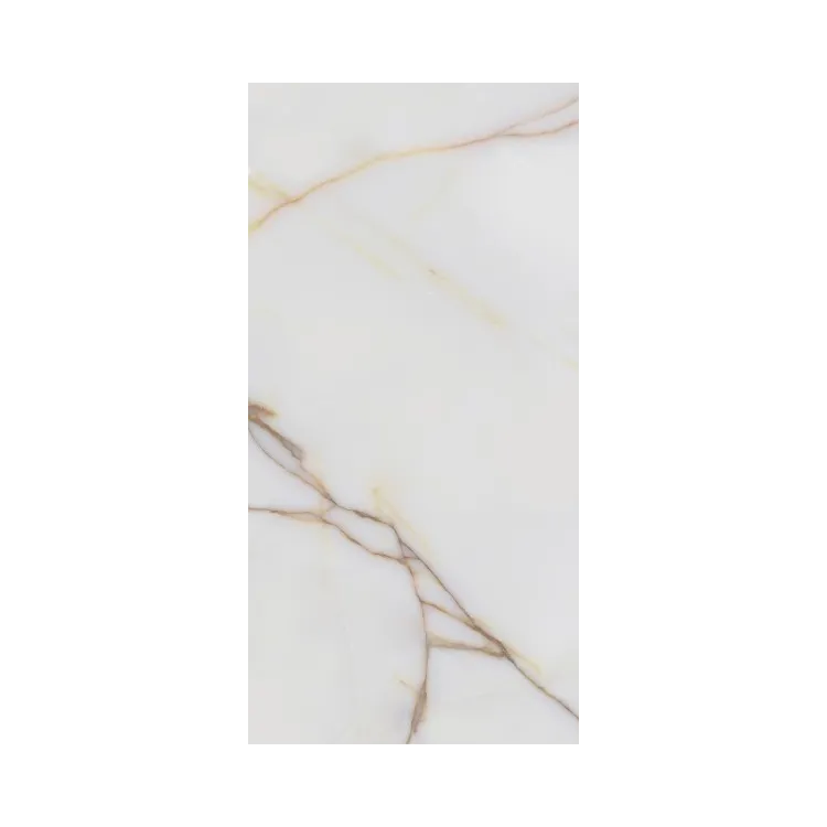 Stargres SGR13-1 poler 60x120 gat.1 ICON G1 SG_78907