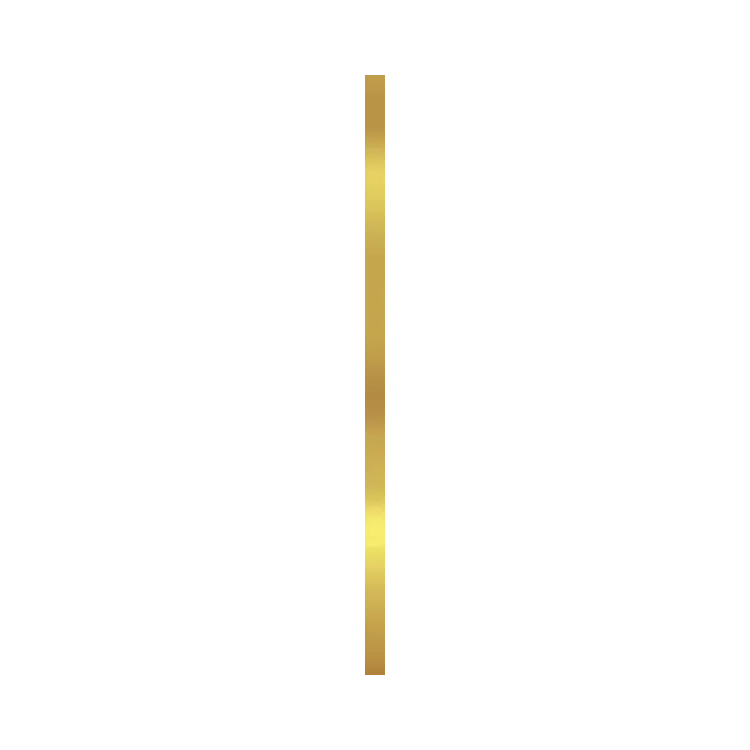 Ceramika Kolor SUPER GOLD 2,5x75 Listwa metal.(luxor) CC_83617