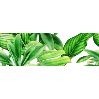 Ceramika Kolor GARDEN TROPIC A DEKOR 25x75 (CA) CC_83784
