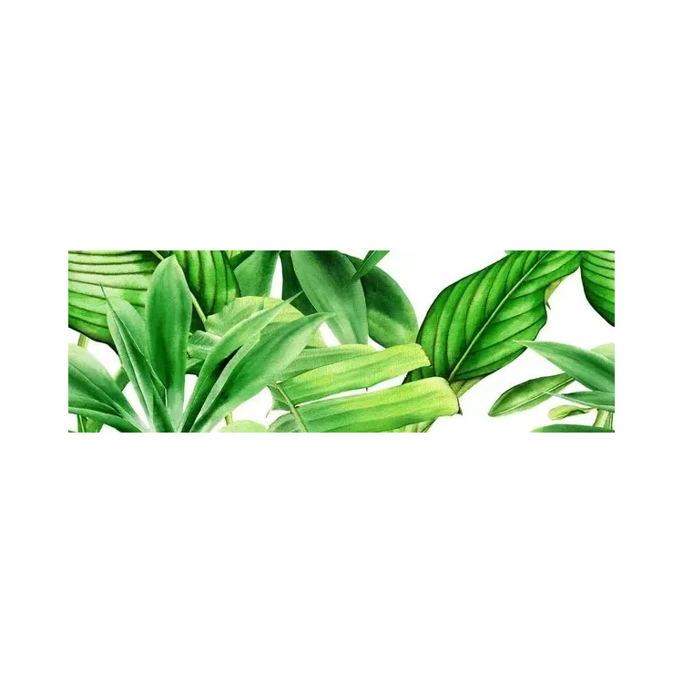 Ceramika Kolor GARDEN TROPIC A DEKOR 25x75 (CA) CC_83784
