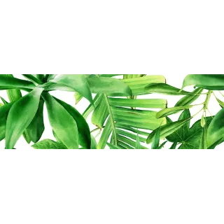 Ceramika Kolor GARDEN TROPIC B DEKOR 25x75 (CA) CC_83785