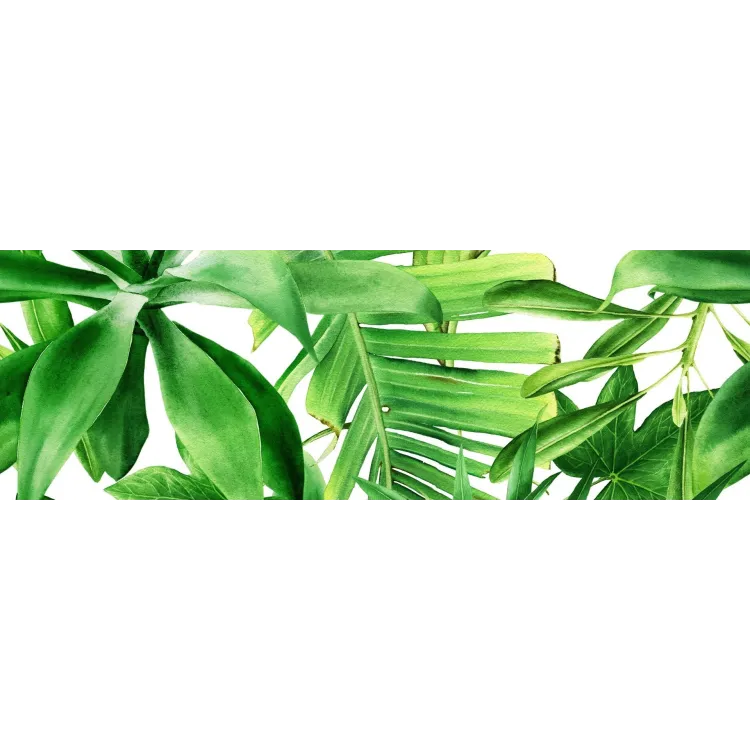 Ceramika Kolor GARDEN TROPIC B DEKOR 25x75 (CA) CC_83785