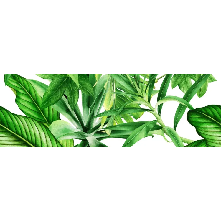 Ceramika Kolor GARDEN TROPIC C DEKOR 25x75 (CA) CC_83786 Ceramika Kolor GARDEN TROPIC C DEKOR 25x75 (CA) CC_83786