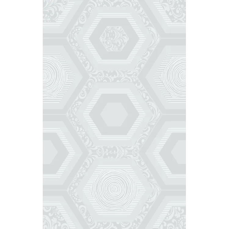 Ceramika Kolor HEXAGON DEKOR 25X40 GAT.I CC_83857