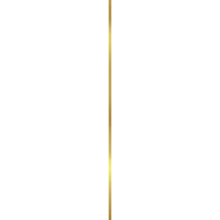 Końskie SUPER GOLD 1x75 Listwa metal. (luxor) CC_83912