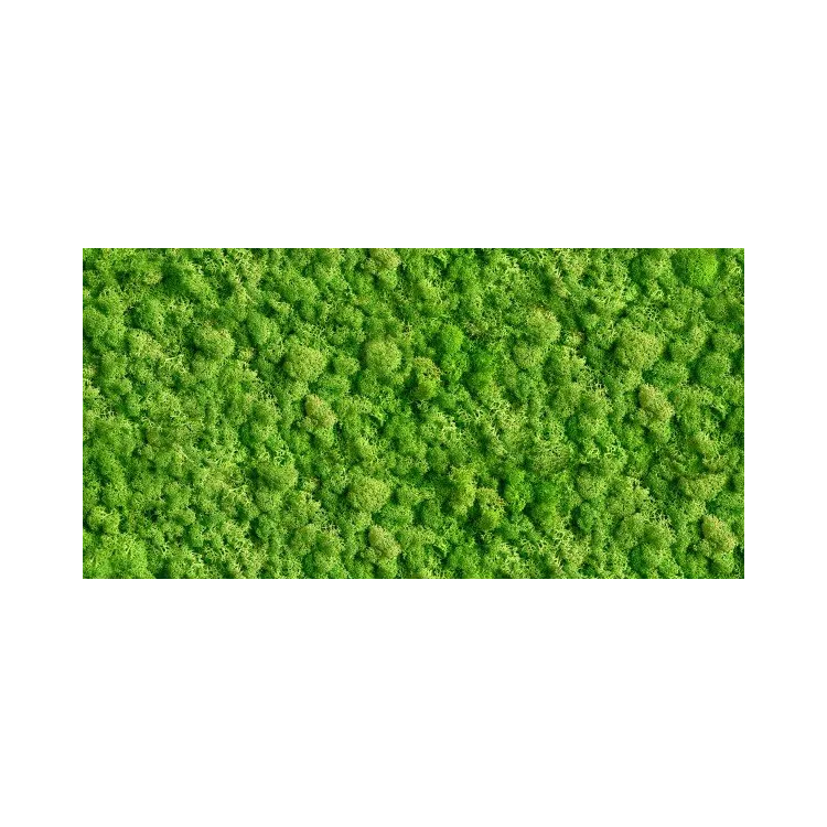 Ceramika Kolor MOSS GLASS DEKOR 30x60 (CS) CC_84393