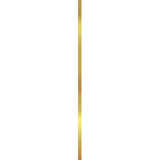 Końskie SUPER GOLD 2x90 Listwa metalowa CC_84396