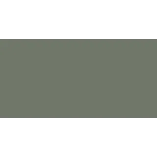 Końskie CKR19-1 30x60 OLIVE RETT. 30X60 GAT.I CC_84467