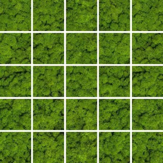 Ceramika Kolor GREEN MOSE MOSAIC 25x25 CC_84604
