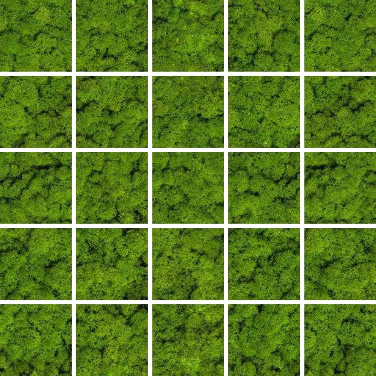 Ceramika Kolor GREEN MOSE MOSAIC 25x25 CC_84604 Ceramika Kolor GREEN MOSE MOSAIC 25x25 CC_84604