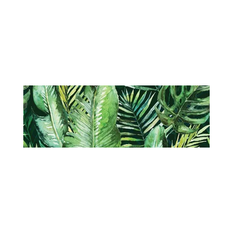 Ceramika Kolor BRAGA TROPIC A RECT. Dekor 25x75 G.I CC_84684
