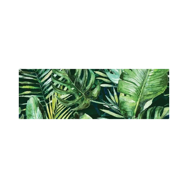 Ceramika Kolor BRAGA TROPIC C RECT. Dekor 25x75 G.I CC_84686