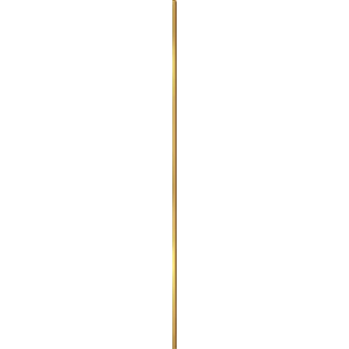 Końskie GL GOLD 1x75 Listwa CC_84692