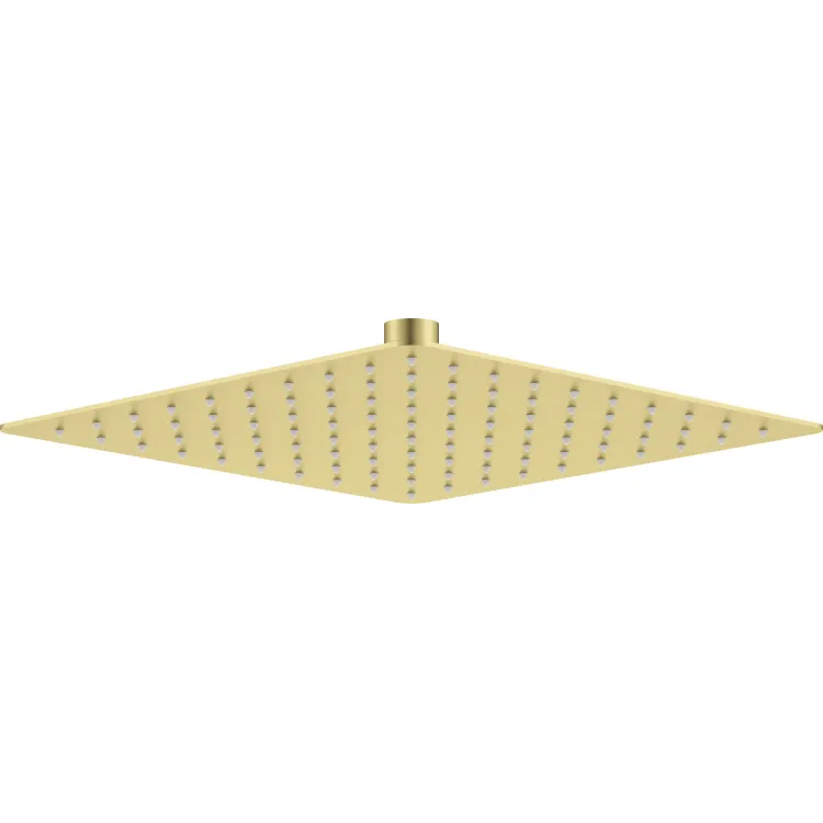 Deante Głowica prysznicowa stalowa - 250x250 mm NAC_R02K
