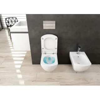 Deante Zestaw WC podtynkowy 6 w 1 CDZS6ZPW