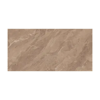 OMEGA CHOCO 60x120x9mm (1.44) GLOSSY