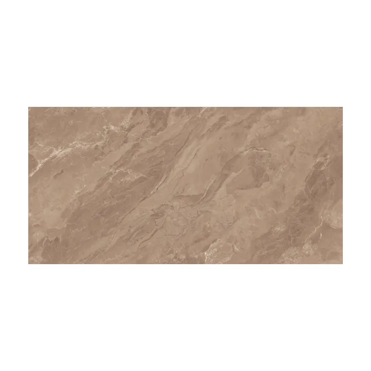 OMEGA CHOCO 60x120x9mm (1.44) GLOSSY