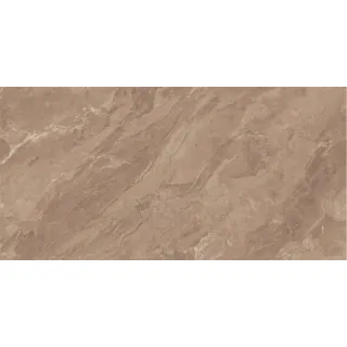 OMEGA CHOCO 60x120x9mm (1.44) GLOSSY