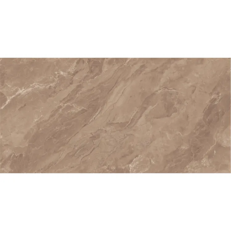 OMEGA CHOCO 60x120x9mm (1.44) GLOSSY