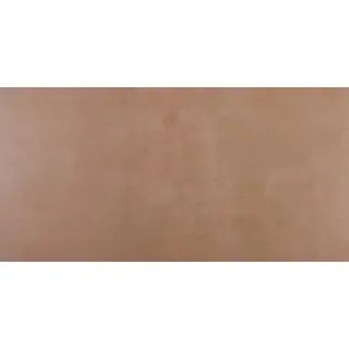 ELEGANZA TERRA REC. MATE  60X120 (1.44)