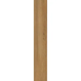 TRUELAND GOLD 19.8x119.8 CM (1.42)