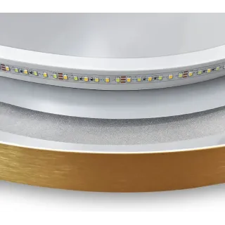 Rea LUSTRO LED OVL BRUSH GOLD 50X100CM HOM-02506