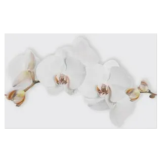 Cersanit MARISOL WHITE INSERTO FLOWER 25X40 TDZZ1253563724